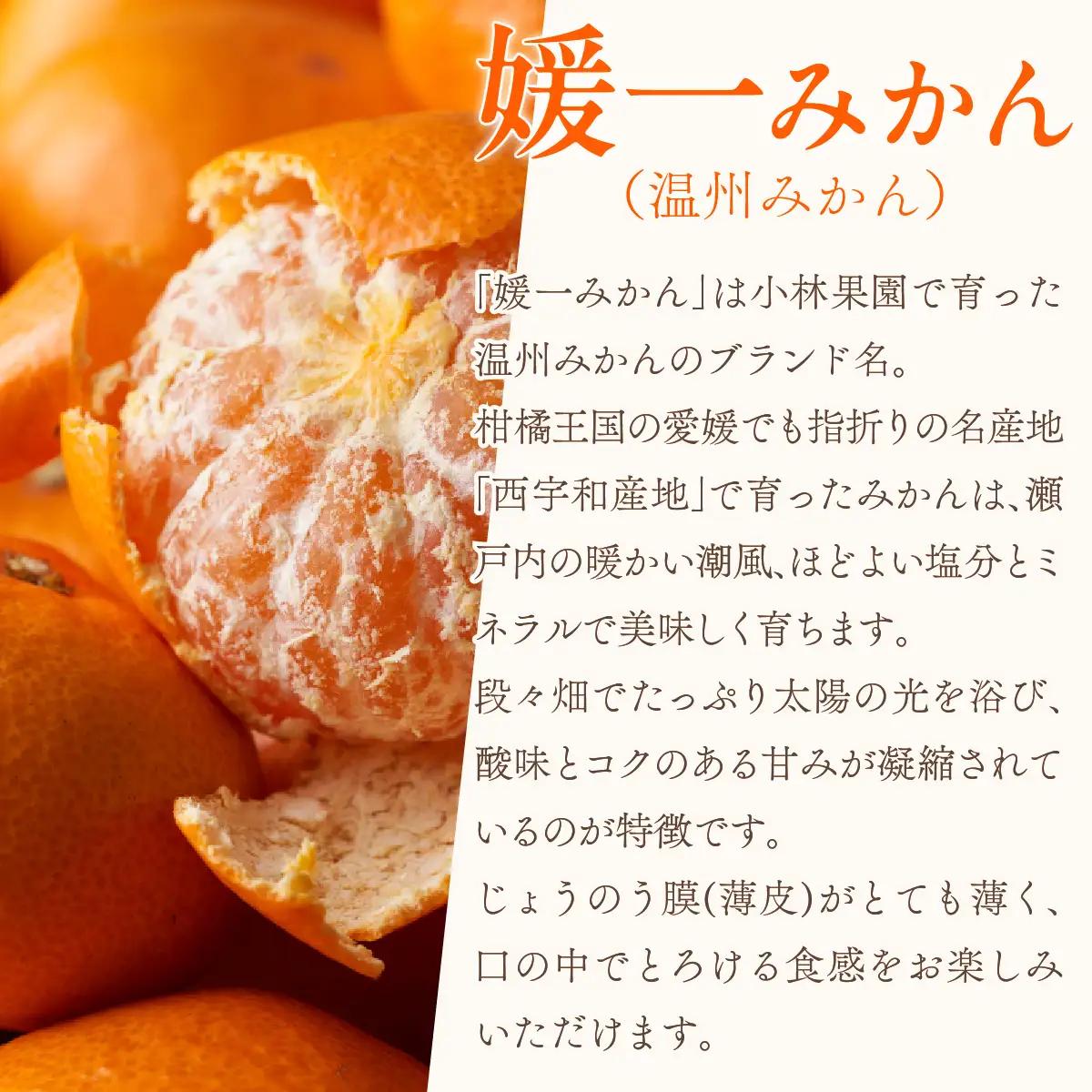 【先行受付】桐箱入り 媛一小玉みかん 金色の雫(こんじきのしずく)24個入り箱×二段重ね【D24-6】【1517951】 YWTAD003