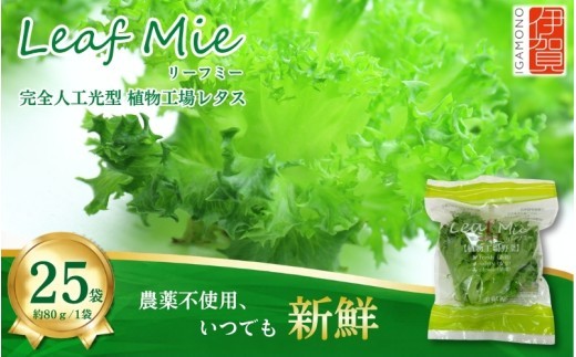 【農薬不使用】Leaf Mie（完全人工光型植物工場レタス）約80g×25個/ 国産レタス 国産野菜 葉物野菜 葉野菜 生野菜 新鮮野菜 農薬不使用 農薬不使用レタス お取り寄せ野菜 ご当地野菜 自宅用 家庭用 新鮮 レタス 野菜 国産レタス 国産野菜 葉物野菜 葉野菜 生野菜 新鮮野菜 農薬不使用 ご当地野菜 自宅用 家庭用 新鮮 レタス 農薬不使用 国産レタス 国産野菜【fskk0001】