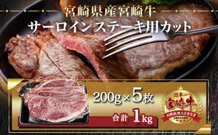 宮崎牛サーロインステーキ(200g×5枚)≪みやこんじょ快速便≫_AF-N401-R_(都城市) 宮崎県産宮崎牛 サーロインステーキ 200g 5枚 牛肉 ステーキ サーロイン