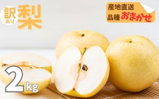 【訳あり】品種おまかせ梨2kg（5から8個）親水 幸水 豊水 菊水 旬の梨 大小混合 訳あり ワケアリ 10000 高知県 室戸市
