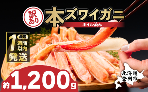 【最短1週間以内出荷】訳あり 冷凍 ボイル ずわいがに 足 1200g ズワイガニ ハーフポーション | ギフト 2025