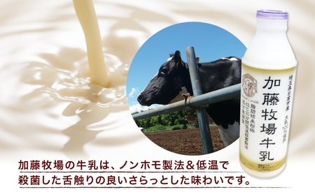 【加藤牧場】 アイス作り体験1名様分＆お土産引換券 アイス 氷 夏 暑い 猛暑 フレーバー 濃厚 さっぱり 人気 ご当地 スイーツ お菓子 食後 デザート 氷菓 牛乳 さっぱり コク 体験 お取り寄せ