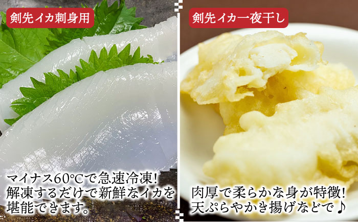 海産物 詰め合わせ 「長崎県壱岐勝本俵物セット」 《壱岐市》【株式会社マルショウ】 イカ いか 烏賊 タイ 干物 イワシ 海鮮 [JEW011] 20000 20000円 2万円