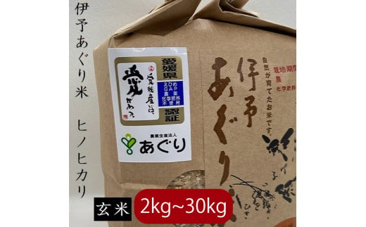 【新米】【予約販売】【選べるキロ数】【2024年10月中旬～下旬頃発送】米 玄米 5kg 伊予あぐり米「ヒノヒカリ」 令和6年産 米 農薬・化学肥料不使用 米 玄米 令和6年産 米 お米 こめ 農薬・化学肥料不使用 こだわりのお米 愛媛県 松前町 松前 まさき 愛媛 えひめ おこめ 有限会社あぐり 愛媛県産米 松前町産米 美味しいお米   お米 贈答 贈り物 愛媛県 松前町 有限会社あぐり