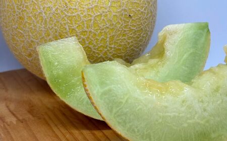 [先行受付]メロン 美土里農園の高糖度メロン ころたん 1玉（1kg×1個）　| メロン メロン メロン メロン メロン