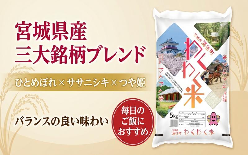 
                  宮城県産 米 5kg お米 こめ コメ ライス ご飯 ごはん ブレンド米 白米 三大銘柄（ひとめぼれ ササニシキ つや姫）国産 お取り寄せ【araseki001】
                