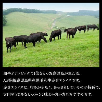 A5鹿児島産黒毛和牛赤身スライス800g　南九州【配送不可地域：離島】