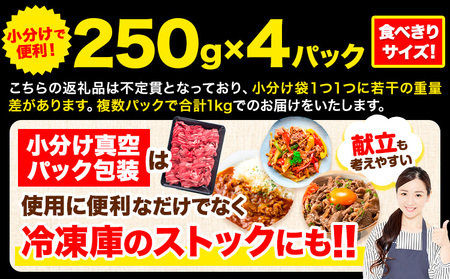 【6ヶ月定期便】牛肉 肉 黒毛和牛 切り落とし 訳あり 大容量 小分け 1kg 1パック 250g 定期便《お申込み月翌月から出荷開始》岡山県産 岡山県 笠岡市 お肉 にく カレー 牛丼 切り落し 切