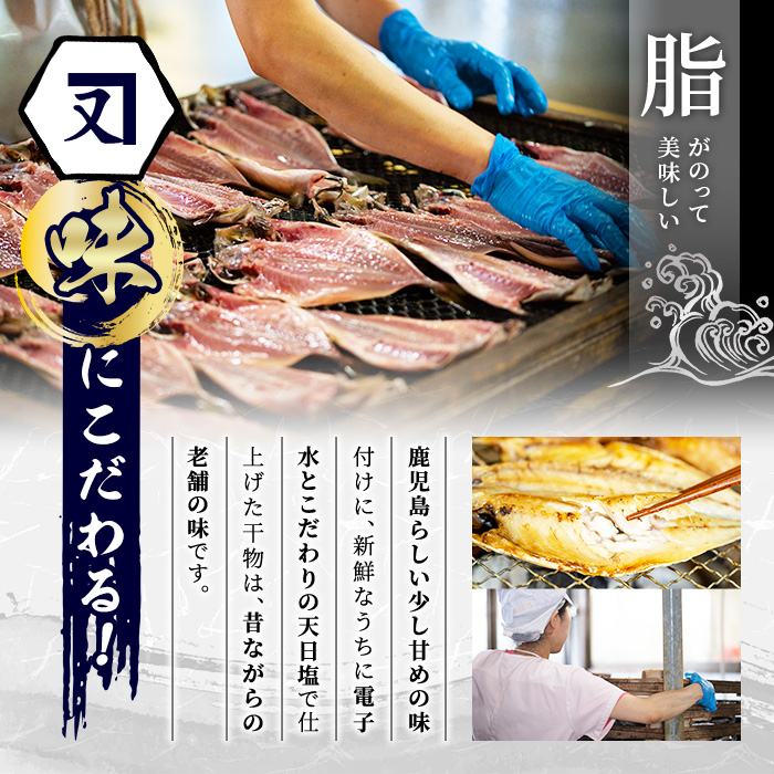 訳あり！又間水産のお魚づくし(4種・計15枚) 国産 ひもの 魚介 小分け 個包装 詰め合わせ 干物セット みりん干し アジ あじ 開き 鯵 サバ さば 鯖 鰯 いわし イワシ フライ おかず おつま