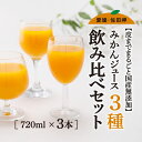 【ふるさと納税】【皮までまるごと国産無添加】みかんジュース3種セット（720ml×3本）