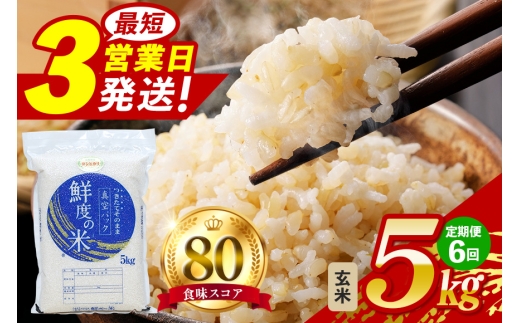 【定期便6回】玄米 5kg (計30kg) 真空パック A17-018