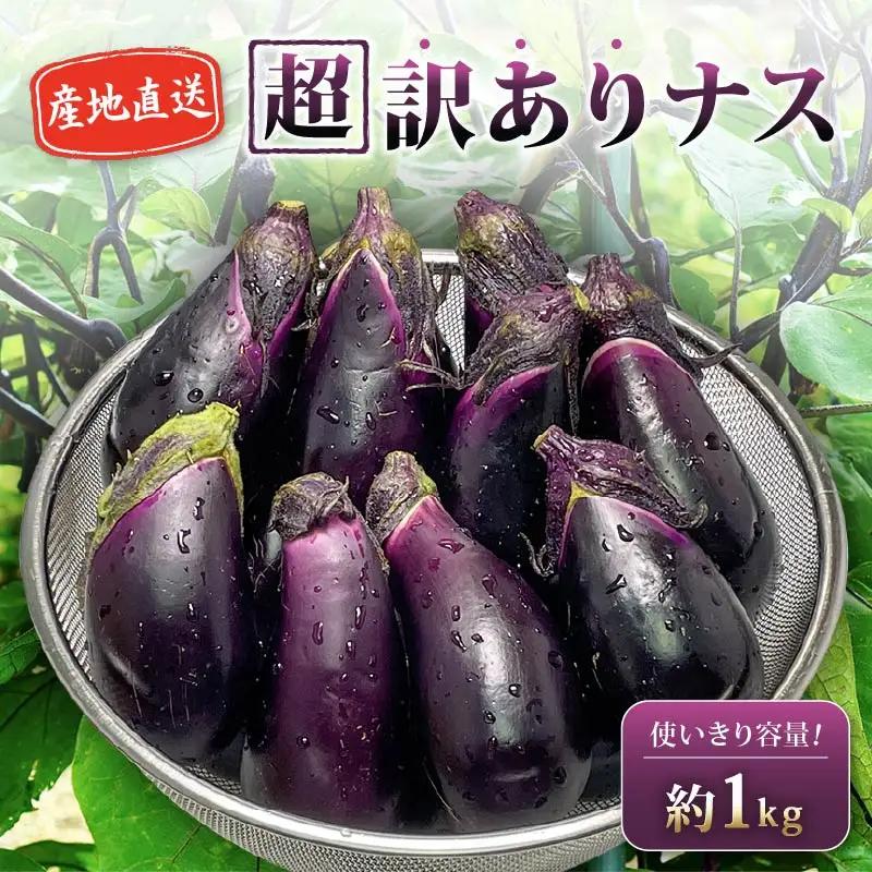 安田町産 「超」 訳あり ナス なす 1kg  新鮮 野菜 茄子 産地直送 季節限定 夏野菜 ナス 訳あり TR-0001