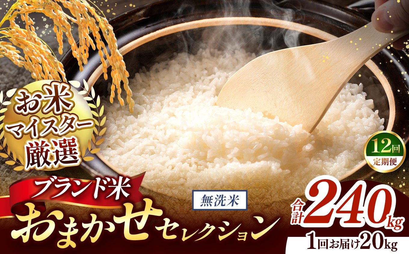 
                  【 令和7年産 】おまかせ セレクション 【定期便12回】熊本県産 無洗米  ＜ひのひかり / 森のくまさん / くまさんの輝き ＞ 20kg  | 単一銘柄 米 単一米 お米 こめ 小分け 人気 コメ お米 5kg 10kg 15kg 20kg 25kg 30kg 定期便 3回 6回 12回 ブランド米 菊池川流域 家庭用 送料無料 熊本 くまもと 熊本県 和水 和水町 人気 ごはん
                
