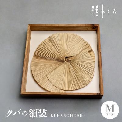 ふるさと納税 伊平屋村 クバの額装KUBANOHOSHI(ホワイト)Mサイズ