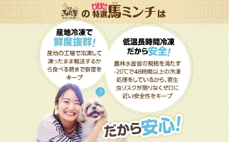 特選馬ミンチ45g 44パックセット ワンちゃん大喜び 馬肉ミンチ 犬用ミンチ 冷凍ミンチ 高タンパク 栄養満点 小分けパック  熊本県 宇城市 大阪馬肉屋TMP