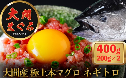 津軽海峡 大間産 極上本マグロ ネギトロ 400g（200g×2P)
