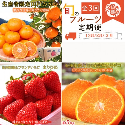 【発送月固定定期便】紀州和歌山産旬のフルーツセット(田村みかん・まりひめ・紀州デコ)全3回【配送不可地域：離島・北海道・沖縄】【4052590】