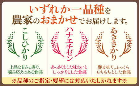 【生活応援米】定期便 ≪3ヶ月連続お届け≫令和7年産 特別栽培米5kg × 3回（計15kg）【白米】 農薬5割減 [e81-c001_01]