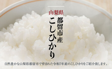 【令和７年産新米・予約】山梨県都留市産こしひかり[5kg]