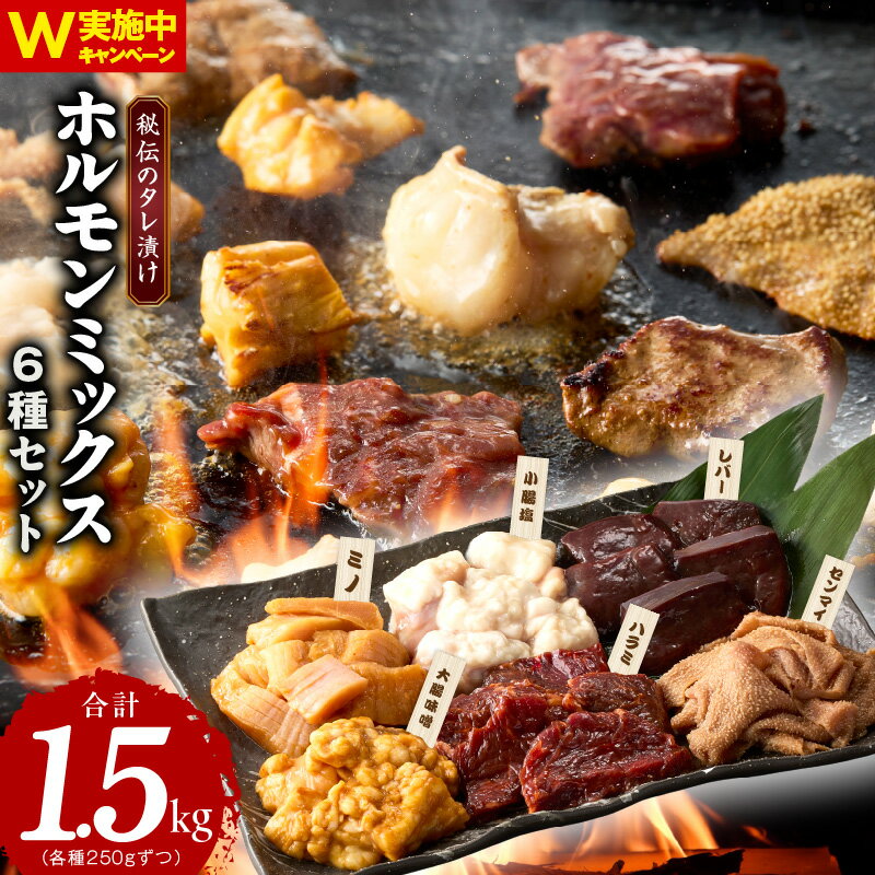 【ふるさと納税】ホルモン ミックス 6種セット 食べ比べ 250g × 6種 合計 1.5kg 秘伝のタレ 漬け 小分け 焼肉 牛肉 ハラミ ミノ センマイ レバー 小腸 大腸 赤だれ 味噌だれ 塩だれ ご飯がすすむ 肉の泉佐野 泉佐野市 送料無料 アキラCP