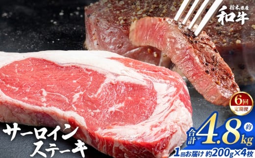 【定期便6回】栃木県産和牛 サーロインステーキ 約200gx4枚  | 定期便 牛肉 和牛 ステーキ サーロイン ステーキ ステーキ用 旨味 美味しい 肉 お肉  栃木県共通返礼品 栃木県 真岡市 