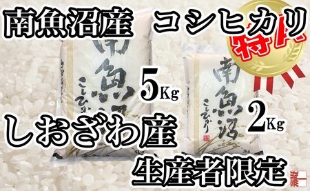 【令和7年産】【定期便：20Kg×3ヶ月】生産者限定 契約栽培 南魚沼しおざわ産コシヒカリ【2025年10月上旬より順次発送予定】