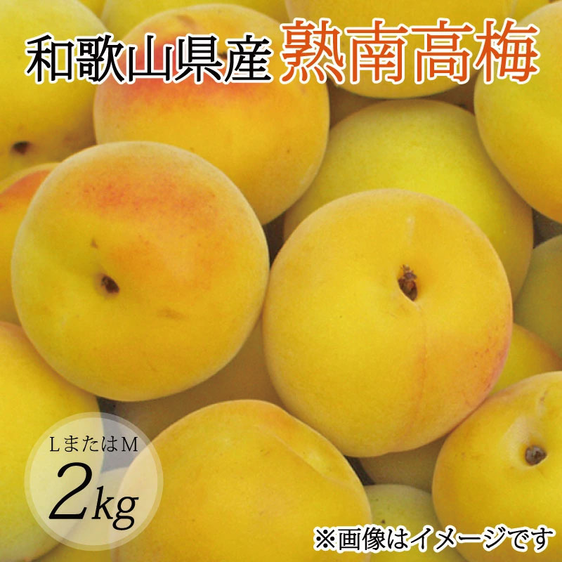 【ふるさと納税】【梅干・梅酒用】（LまたはM－2Kg）熟南高梅＜2026年6月上旬～7月上旬頃発送予定＞フルーツ 果物 くだもの 食品 人気 おすすめ 送料無料【ART07】