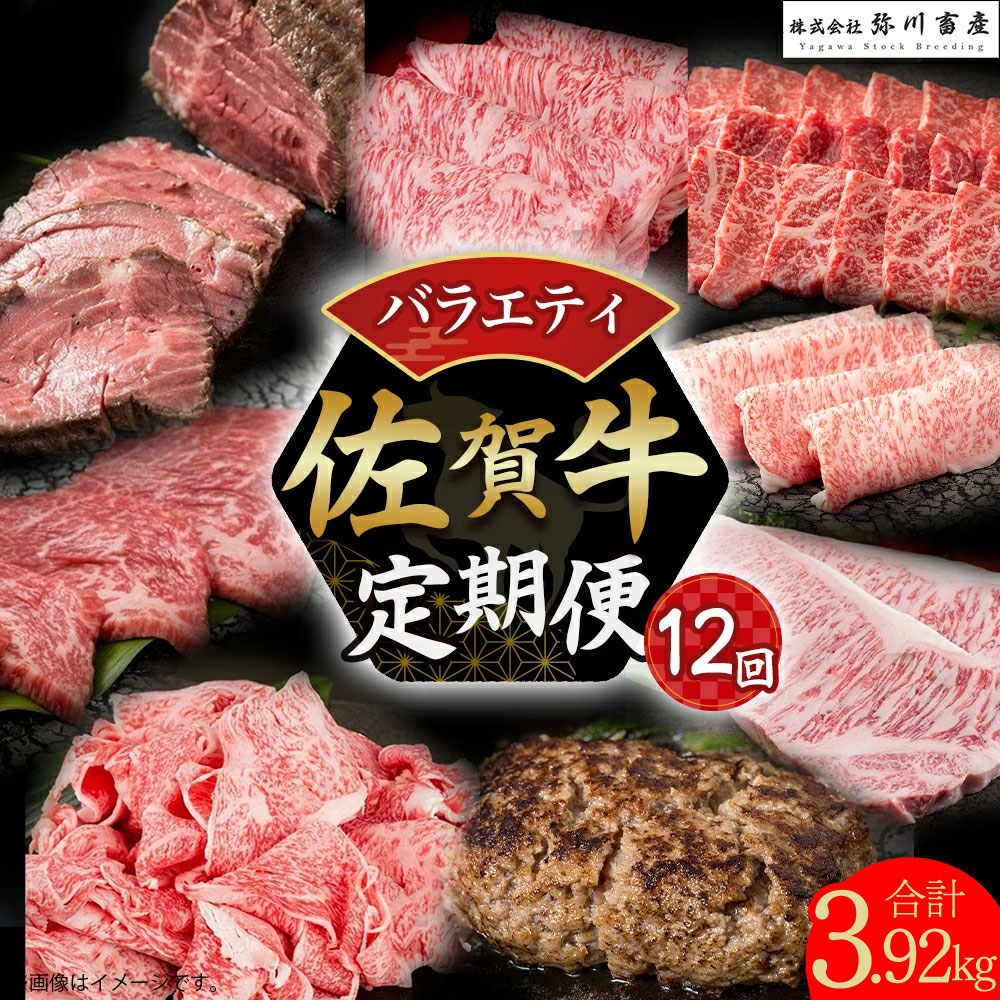 【ふるさと納税】UB1x1 佐賀牛 バラエティ12回定期便 サーロイン しゃぶしゃぶ 焼肉 ローストビーフ 赤身 切り落とし ハンバーグ すき焼き 佐賀牛 佐賀県 太良町