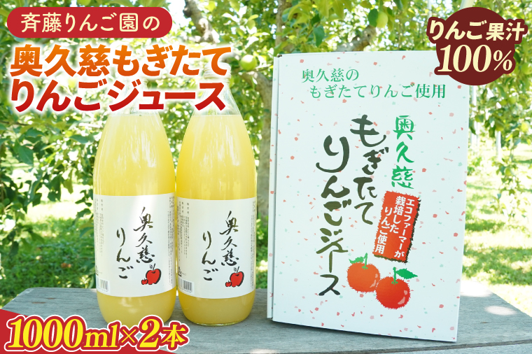 斉藤りんご園の奥久慈りんごジュース（ストレート）1000ml×2本セット（化粧箱入り）（CG004）