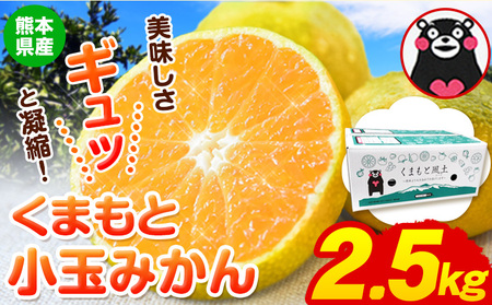 訳あり みかん 小玉みかん くまもと小玉みかん2.5kg (2.5kg×1箱)  秋 旬 不揃い 傷 ご家庭用 SDGs 小玉 たっぷり 熊本県 産 S-3Sサイズ フルーツ 旬 柑橘 長洲町 温州みかん《11月中旬-12月上旬頃出荷》 ｜ 甘いみかん ジューシーみかん さっぱりみかん 小粒みかん 大玉みかん 完熟みかん 冷凍みかん 皮ごとみかん 旬のみかん 太陽のみかん 香り豊かなみかん 水分たっぷりみかん 色鮮やかみかん 新鮮みかん ミニみかん 早生みかん 晩生みかん 蜜みかん 黄金色みかん 手軽なみか