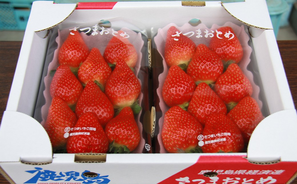 さつまおとめ 約250g×2トレー 合計 約500g