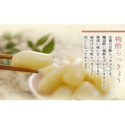 ふるさと納税 北杜市 国産無添加 色白美人らっきょう 食べきりサイズ 480g (80g×6)