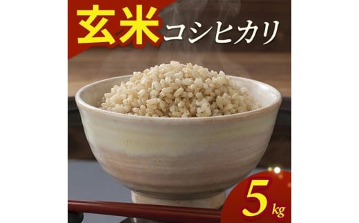 令和7年産【玄米】コシヒカリ　5kg(5kg×1袋) YA SA2845