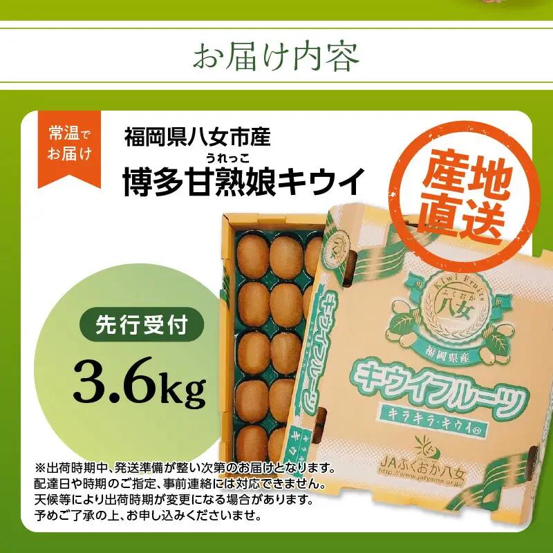 【2026年12月発送開始】博多甘熟娘（うれっこ）キウイ約3.6kg｜ＪＡふくおか八女 キウイフルーツ 福岡 高糖度 先行予約 グリーンキウイ ヘイワード種 002-004