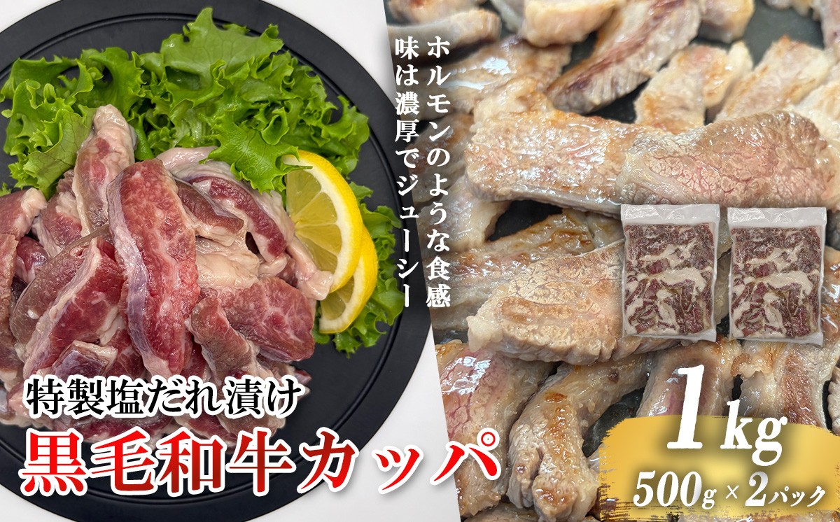 
                  黒毛和牛カッパ（肉ホルモン） 特製塩だれ漬け 500g × 2パック | 肉 牛 牛肉  焼肉 BBQ 人気 パック 真空 真空パック 冷凍 静岡県 小山町
                