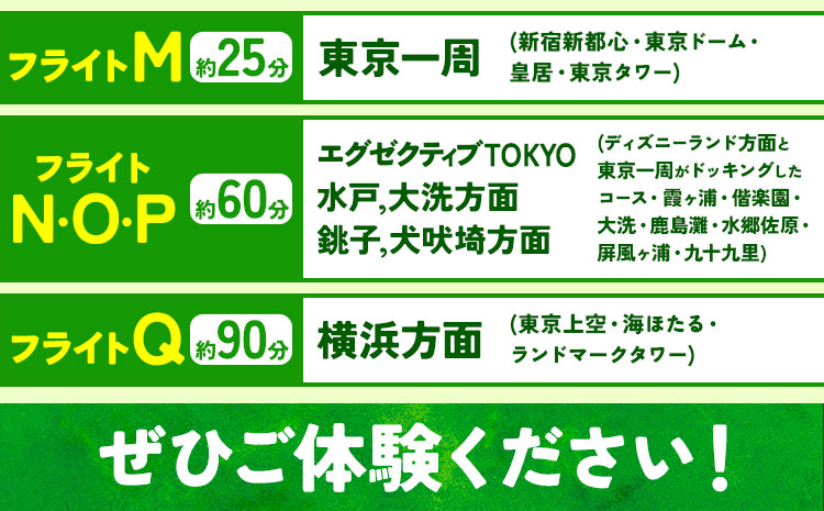 セスナ機遊覧飛行体験 3名 フライトA（約8分コース） 新中央航空株式会社《30日以内に出荷予定(土日祝除く)》茨城県 河内町 セスナ 飛行体験---kawachhi_skk_12_8min---