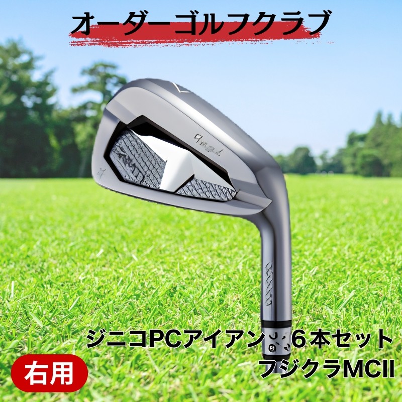 
                  ゴルフ ゴルフクラブ ジニコPCアイアン ６本セット フジクラMCI オーダーメイド アイズファクトリー｜F75
                