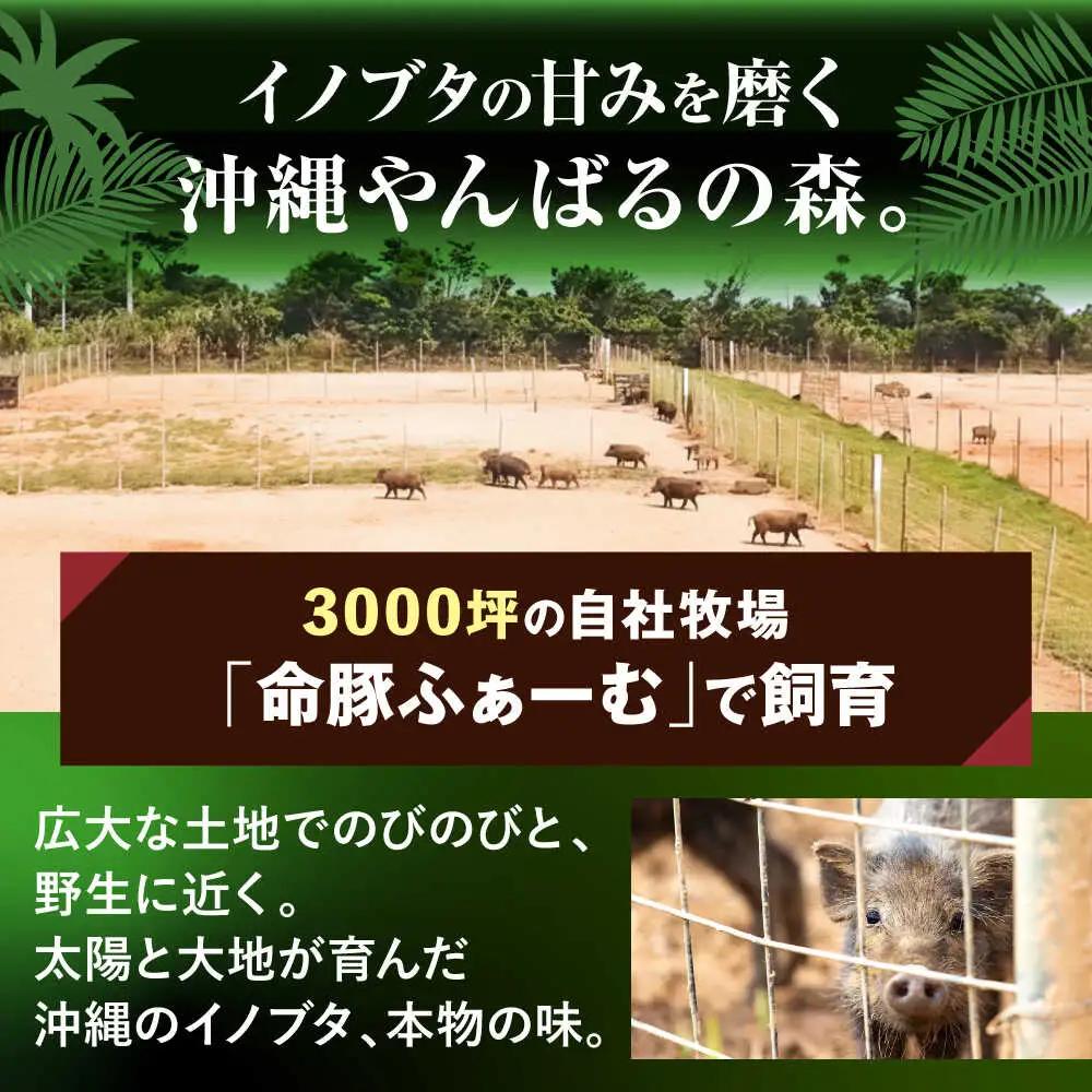 『NUCHIBUTA Cセット』 豚肉 ポーク ステーキ ハンバーグ ソーセージ ベーコン ハム 詰め合わせ  BCAR005 