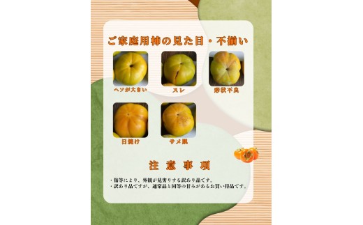【先行予約】【10月～11月上旬発送】 令和8年産 伊勢市 蓮台寺柿 ご家庭用 約10㎏ 34～44個入り | 伊勢市指定天然記念物  伊勢市産 柿 家庭用 蓮台寺柿 天然記念物 天然 カキ フルーツ