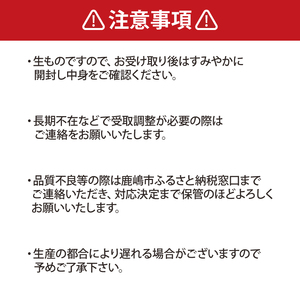 【先行予約】 巨峰 2房 (大粒600g以上/房)