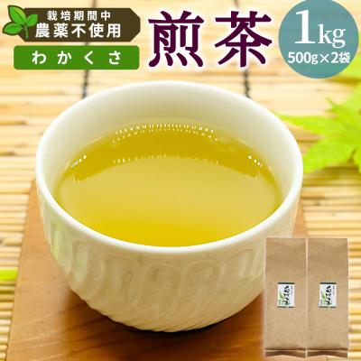 ふるさと納税 東白川村 栽培期間中 農薬不使用! 煎茶 わかくさ 1kg (500g×2袋) 常磐園 日本茶 緑茶 煎茶