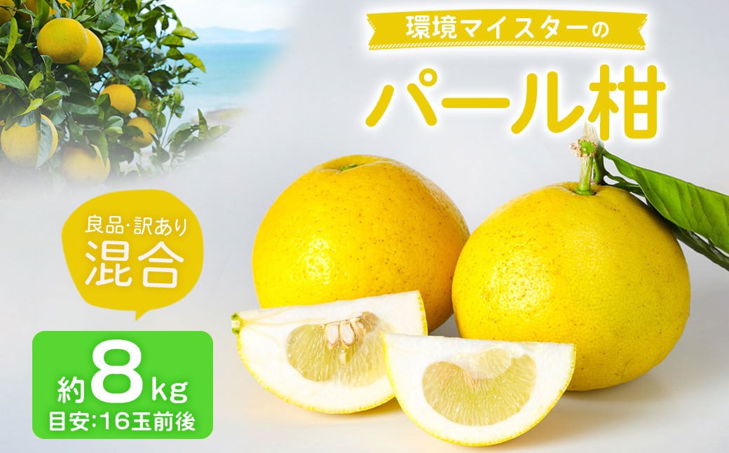 環境マイスターのパール柑 良品・訳あり混合 8kg （栽培期間中は無肥料・無農薬） 果物 くだもの フルーツ パール柑 柑橘 【2025年2月上旬‐4月上旬迄順次発送予定】