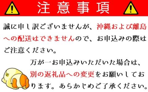 食の都庄内【令和7年産】《7・8・9月お届け-D》旬のフルーツの3ヶ月定期便 《7・8・9月お届け-D》