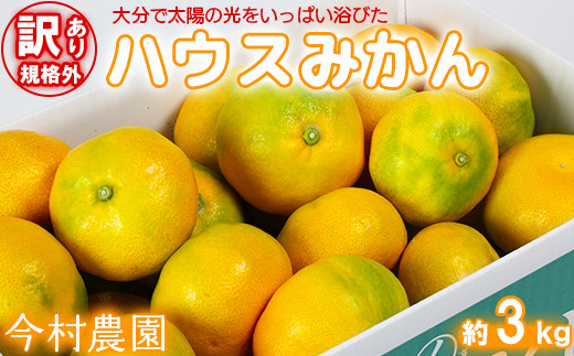 
                  【訳あり・規格外品】今村農園のハウスみかん 約3kg みかん 柑橘 3kg わけあり 先行予約 7月 8月 フルーツ ＜107-001_7＞
                