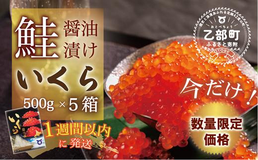 【数量限定 特別価格】＜いくら醤油漬　５パック（500ｇ×5）2.5ｋｇ＞鮮度にこだわる「笹谷商店」の絶品の醤油タレで漬けたいくら（検索：イクラ 鮭いくら 鮭イクラ 醤油いくら 醤油イクラ いくら醤油漬け イクラ醤油漬け 醤油漬 いくら丼 秋鮭 国産 北海道産 北海道乙部町 日本海 冷凍 人気 訳あり 定額減税 使い道 ふるさと納税）