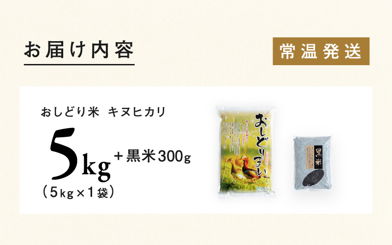 【令和6年産新米】福井県産 おしどり米 キヌヒカリ 5kg  黒米300ｇ 2024年10月中旬以降順次発送！