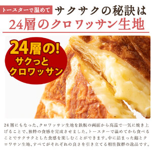 【ふるさと納税】味が選べる クロワッサンたい焼き 4匹 (2匹×2種類)_MH140-0071 スイーツ 御菓子 お菓子 おかし