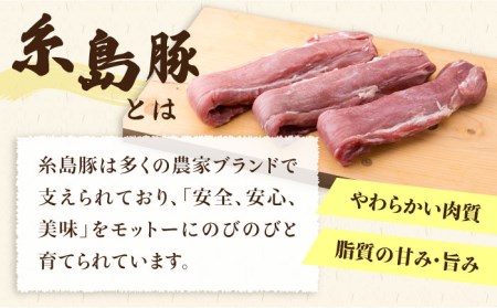糸島豚 ヒレ肉 ブロック 1kg (1本350g前後×3本)《糸島》【糸島ミートデリ工房】[ACA232] 国産 糸島 豚肉 豚 ヒレ トンカツ トンテキ 小分け ステーキ 豚肉ブロック 豚ブロック 