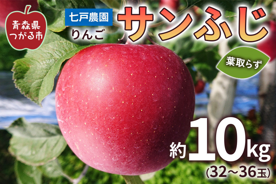 
            りんご サンふじ 葉取らず 約10kg(32から36玉) 青森産 つがる市【2025年11月下旬より順次発送】｜青森県産 津軽 リンゴ りんご 葉とらず 青森りんご 果物 フルーツ 2025年産 令和7年産 [0832]
          