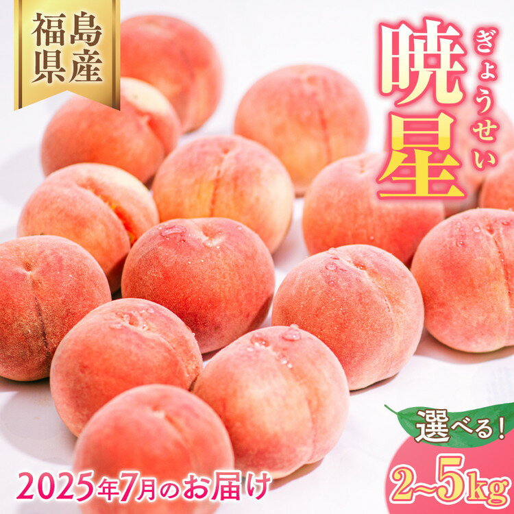 【ふるさと納税】【選べる容量】◆2025年夏発送◆暁星〜産直・桃・約2kg 約5kg ※離島への配送不可 ※2025年7月上旬〜7月下旬頃に順次発送予定｜先行予約 予約 数量限定 桃 もも モモ 果物 くだもの フルーツ 詰め合わせ 福島 ふくしま